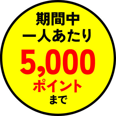 期間中一人あたり5000ポイントまで